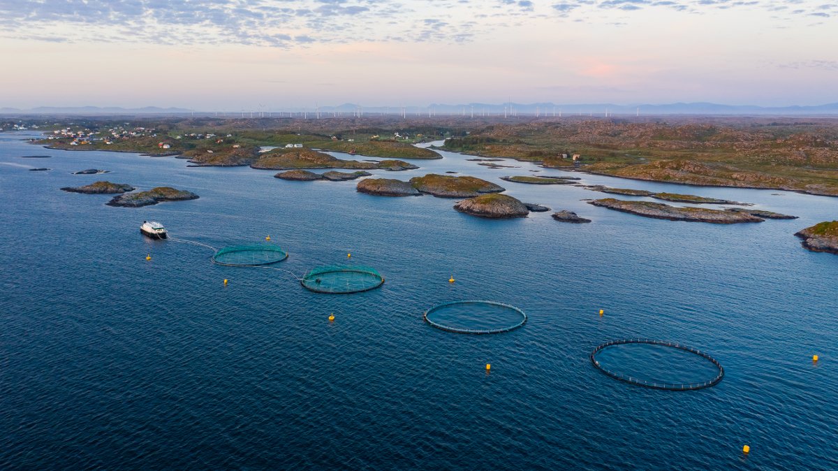 Hvorfor Kristiansund og Midt-Norge? 